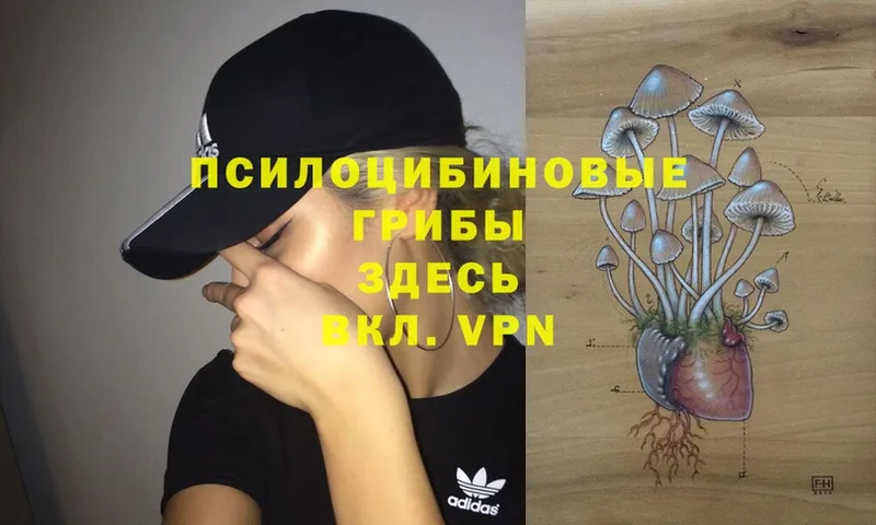 Псилоцибиновые грибы MAGIC MUSHROOMS  OMG tor  Суоярви 